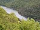 IMG 0858