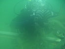 CIMG1446