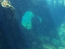P1010045