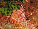 P6079017