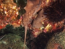 P6079024
