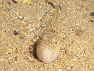 P6089088