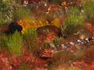 P6089108
