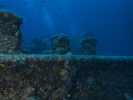 P6089142
