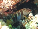 P6089181