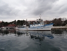 DSC01169