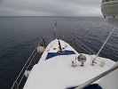 DSC01202