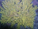 P1019882