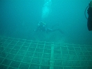 FILE0051
