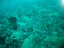 FILE0056