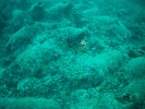 FILE0058
