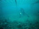 FILE0062