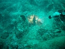 FILE0068
