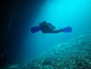 FILE0091