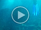 FILE0096