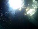 FILE0100