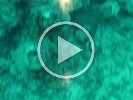 GOPR0351