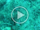 GOPR0354