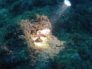 GOPR0358