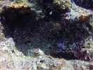 GOPR0392