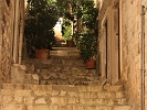 IMG 0466
