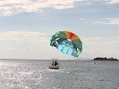 IMG 0526