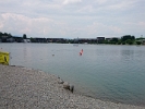 DSC 0770