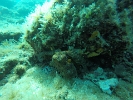 GOPR0106