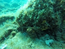 GOPR0107