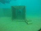 GOPR0142