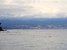 DSC04677