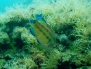 DSC04825