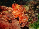 DSC04867