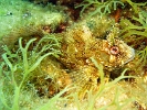 DSC05012