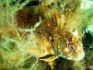 DSC05013