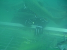 CIMG1449
