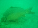 P9120063
