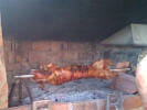 IMAG0308