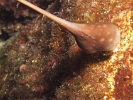 P6079022