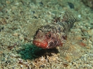 P6079027