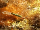 P6089134