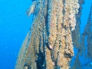 P6089161