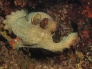 P6099249