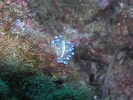 P1019858