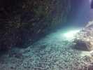 GOPR0383