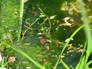 IMG 4125
